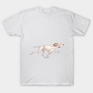 White hound dog is running. Hunting Pointer T-Shirt